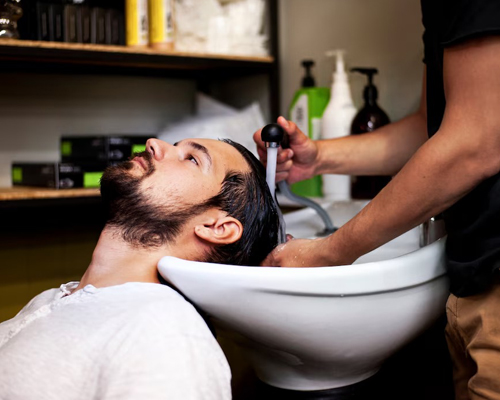 Hair Spa and Treatment